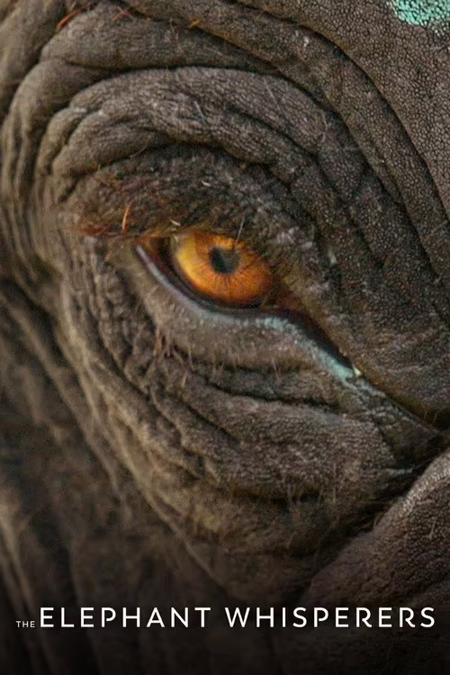 The Elephant Whisperers (2022) Hindi Dubbed